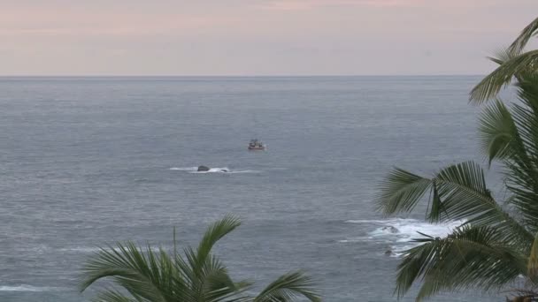 Praia ensolarada no Sri Lanka — Vídeo de Stock