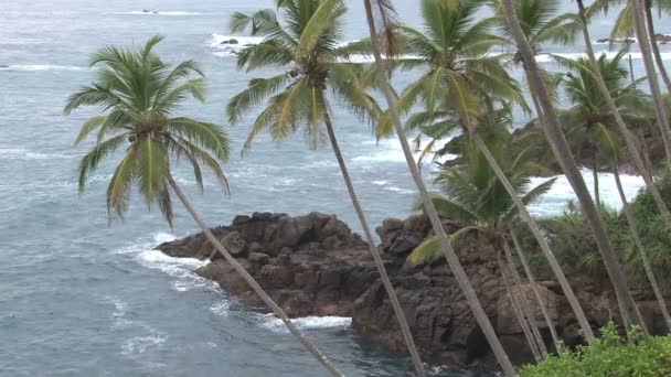 Praia ensolarada no Sri Lanka — Vídeo de Stock