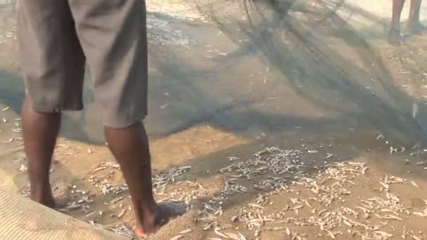 Рыбаки работают на пляже — стоковое видео