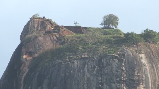 Готель Sigiriya левову скелю — стокове відео