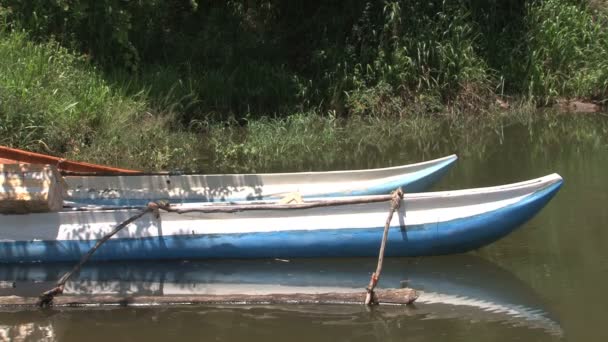 Barcos típicos de Srilankan — Vídeo de stock