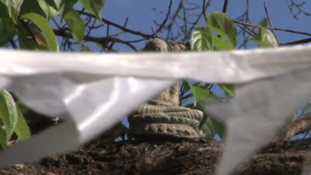 Статуя Будды и молитвенные флаги — стоковое видео