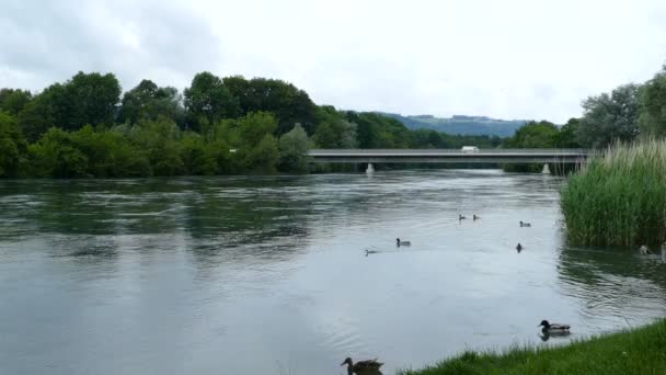 Geroldswill Limmat üzerinde köprü — Stok video