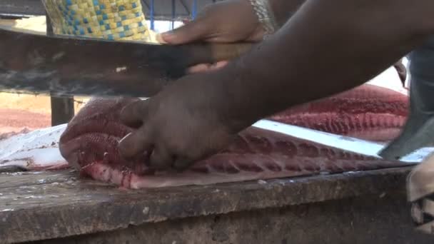 Images du marché aux poissons — Video