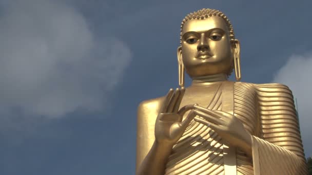 Buddha staty, sri lanka — Stockvideo