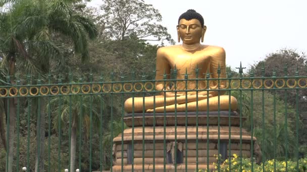 Statue de Bouddha, Sri Lanka — Video