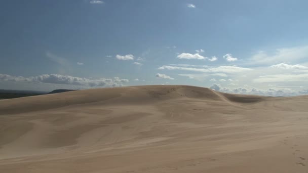 사하라의 모래 언덕에 덮고 캠프 — 비디오