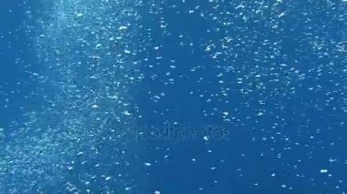 Dalgıçlar deniz kabarcıkları