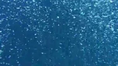 Dalgıçlar deniz kabarcıkları