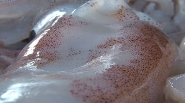 Ölüm ahtapot, yakın çekim, Sri Lanka