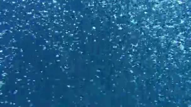 Bolhas de mergulhadores no mar — Vídeo de Stock