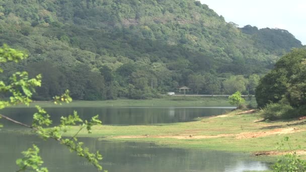 Parakrama Samudra lake — Stock Video