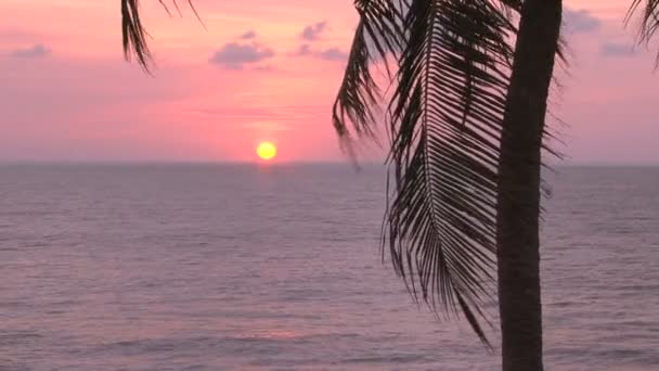 Zachód słońca na plaży w mieście Negombo — Wideo stockowe