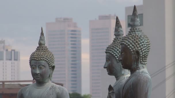 Ancient Buddhas in garden — Stock Video