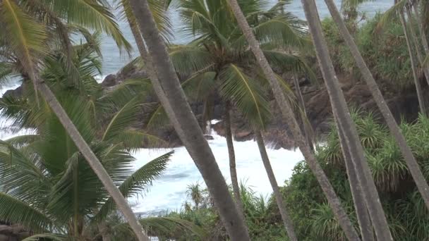 Mar praia panorama — Vídeo de Stock