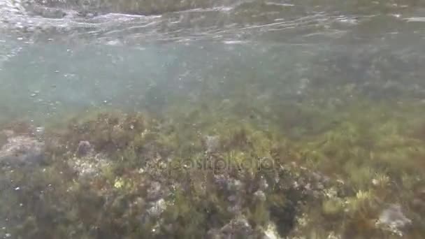 Olas y golfo en el mar Mediterráneo — Vídeos de Stock