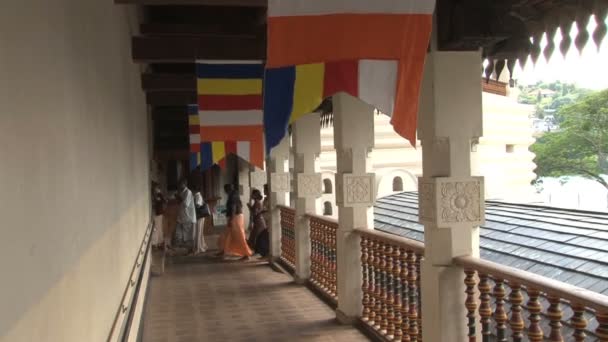 Tempel van de tand, Sri Lanka — Stockvideo
