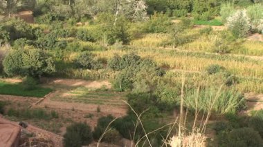 Dades Valley, peyzaj