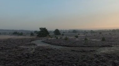 Hollandalı peyzaj üzerinde uçmak 