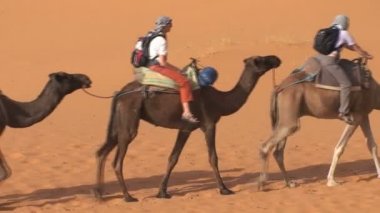 Sahara deveye binmek,  