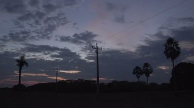 Pantanal, gündoğumu, manzara görüntüleri