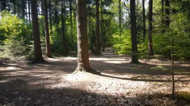 National Park in Nijverdal