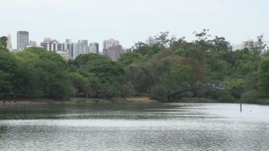 Sao Paulo, Ibirapuera park skyline