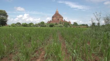 Pagoda Bagan, Myanmar 
