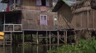 Nyaung seyir Shwe  