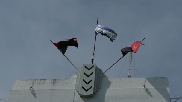 Sandinistisch Nationaal Bevrijdingsfront vlaggen — Stockvideo