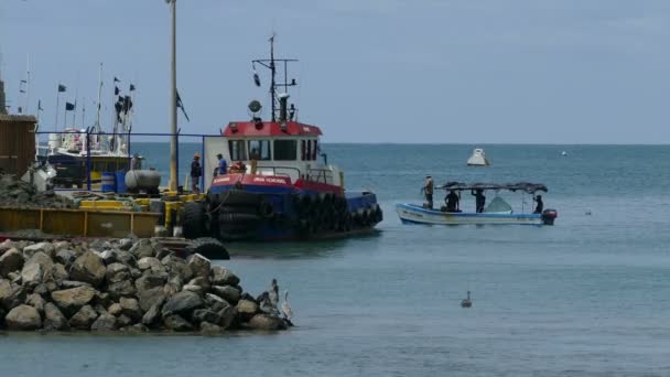 Vissersboot invoeren van de haven — Stockvideo