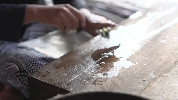 Processo di lavorazione della fabbrica di tè — Video Stock