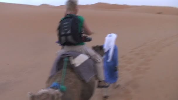 Giro in cammello nel Sahara — Video Stock