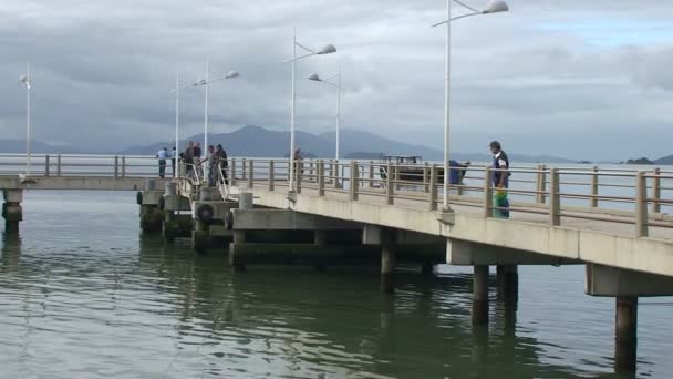 Felvétel Halászok Florianopolis Harbour — Stock videók