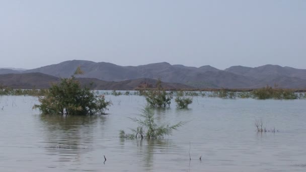 Mansor Dahbi lake — Stock video