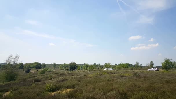 Parque Nacional en Nijverdal — Vídeos de Stock