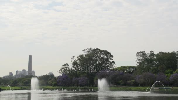 Wasserfontäne im ibirapuera Park — Stockvideo