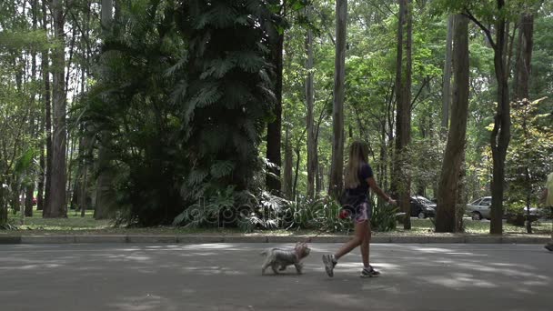 San Paolo, Parco Ibirapuera — Video Stock