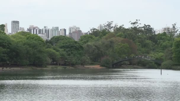 São Paulo, horizonte do parque Ibirapuera — Vídeo de Stock