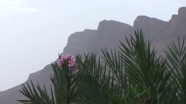 Montañas en el valle de Draa — Vídeos de Stock