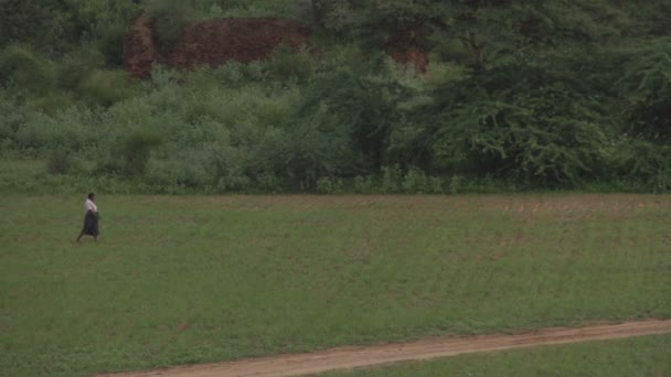 人投掷肥料 — 图库视频影像