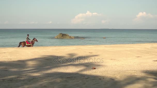 Boy riding horse along sea — Stock Video