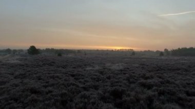 Hollandalı peyzaj üzerinde uçmak 