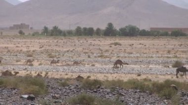 Develer peyzaj, Dades Vadisi 