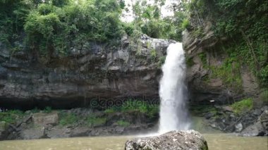 Selva Negra jungle şelale 