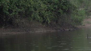 Pantanal, Nehri üzerinde tekne