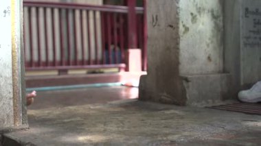 Rahipler Shwemokehtaw Pagoda at