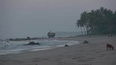 Bengal Körfezi beach