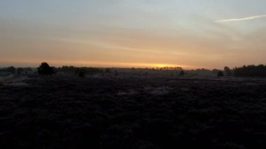 Hollandalı peyzaj üzerinde uçmak 