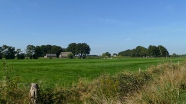 İnekler, Hollandalı yatay 